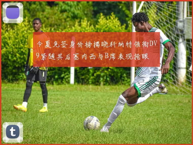 今夏免签身价榜揭晓科纳特领衔DV9紧随其后塞内西与B席表现抢眼